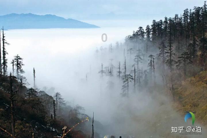 虫虫助手下载